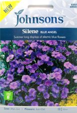 Silene Blue Angel Seeds